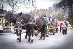 Advent im S?gewerk Ratkowitsch St. Gerogen Adventmarkt
